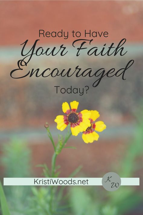 Have your #faith encouraged today. #parenting #p31 #devotional #inspiration #christian Proverbs 31 Ministries, Faith Christian, Proverbs 31, Boy Mom, Proverbs, Feel Like, Encouragement, Motivational Quotes, Bible