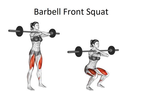 Barbell Front Squat are a multi-joint workout that helps strengthen the legs. The upright position in which the torso is held during the exercise builds core strength. You can activate more quads by loading weight on your front instead of your back. This squat form is great if your shoulders have limited range or you’ve had a shoulder […] Barbell Front Squat, Barbell Back Squat, Leg Press Workout, Quadriceps Femoris, Bodybuilding Routines, Squat Form, Barbell Deadlift, Back Squat, Dumbbell Squat