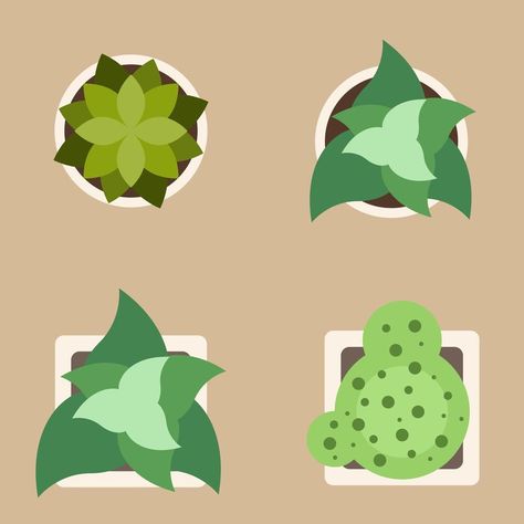 Top view set of plants Cactus Top View, Geometric Illustration, Shape Pictures, Plant Vector, Vector Flowers, Plant Illustration, Flower Tops, Plant Art, All About Plants