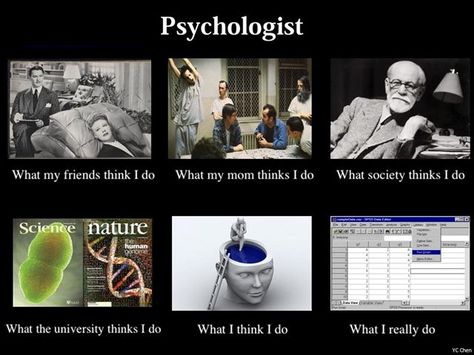 Oh SPSS... how I detest you. Brain Pictures, Ap Psych, Psychology Memes, Dream Psychology, Psych Major, Psychology Humor, Funny Road Signs, Forensic Psychology, Psychology Major