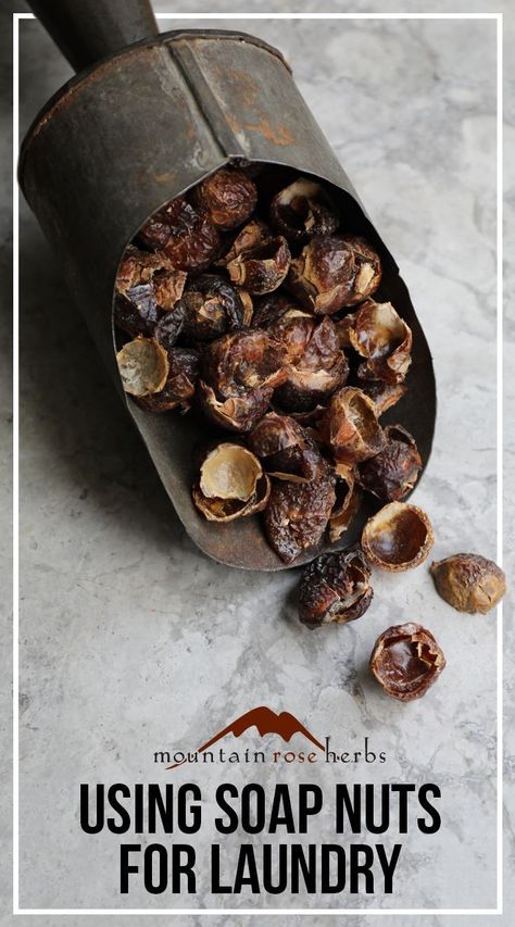 Soap Nuts: A Natural DIY Option for Your Laundry Soap Berries, Mountain Rose, Soap Nuts, Mountain Rose Herbs, Natural Detergent, Diy Body Care, Diy Laundry, Natural Cleaners, Cleaning Recipes