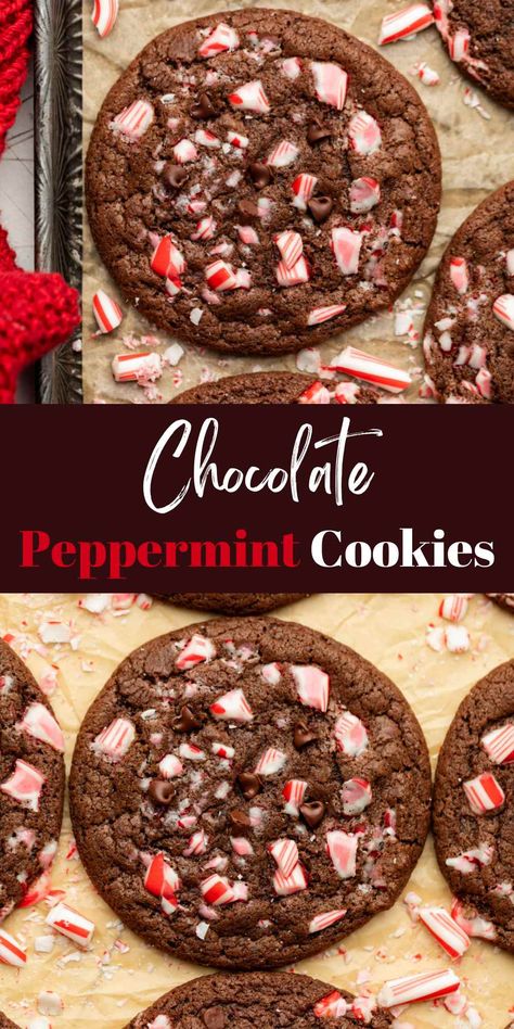 Chocolate Peppermint Cookies - I Heart Eating Gluten Free Chocolate Mint Cookies, Cocoa Peppermint Cookies, Brownie Peppermint Cookies, Cookies With Crushed Peppermint, Hot Cocoa Peppermint Cookies, Peppermint Christmas Cookies Recipes, Peppermint Hot Chocolate Cookies, Peppermint Cookies Christmas, Mint Christmas Cookies