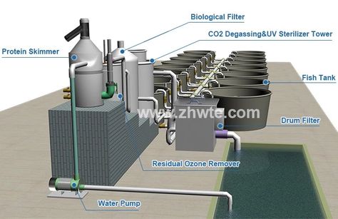 Ras System, Shrimp Farming, Aquaponics Diy, Farming Equipment, System Design, Fish Farming, Energy Projects, Fish Tank, Water Pumps