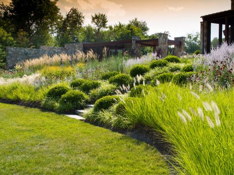 Hillside Garden, Hillside Landscaping, Sloped Garden, Aqua Terra, Grasses Garden, Have Inspiration, Native Garden, Garden Landscape Design, Modern Landscaping