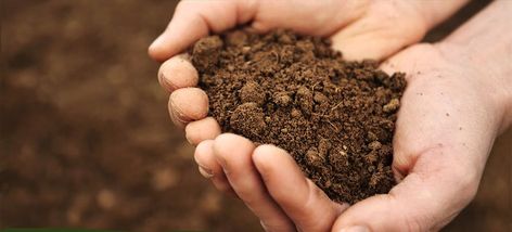 Soil: Love the one you're with How To Make Compost, Ard Buffet, Humic Acid, Soil Testing, Sandy Soil, Clay Soil, Plant Health, Soil Health, Wildflower Seeds