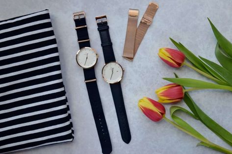 Nordgreen Watches – Review Going On An Adventure, Social Cause, Watch Review, One Eye, Watch Lover, Sustainable Brand, Navy Leather, Cluse Watch, Gold Details