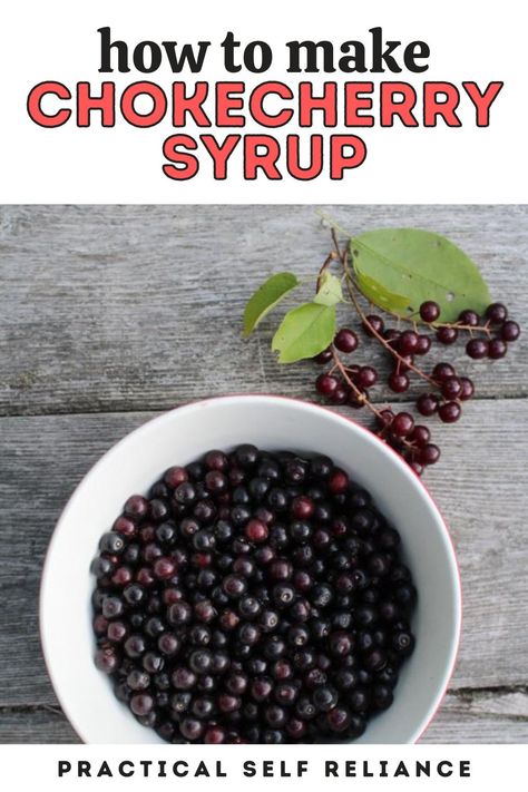 Chokecherry syrup is a simple way to preserve summer chokecherries with minimal effort. No need to pit the fruit, just extract the juice, add sugar, and enjoy. This simple wild fruit syrup recipe will keep in the refrigerator a few weeks, but canning is recommended for long term storage. Chokecherry Syrup Recipe, Chokecherry Juice, Chokecherry Recipes, Cherry Syrup Recipe, Fruit Syrup Recipe, Chokecherry Syrup, Dehydrating Fruit, Preserving Fruit, Fruit Syrup