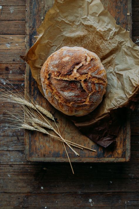 Dark Food Photography, Food Tool, Bread Shop, Baking Videos, Cabin Cottage, Seasons Winter, Fresh Bread, Artisan Bread, Cooking Techniques