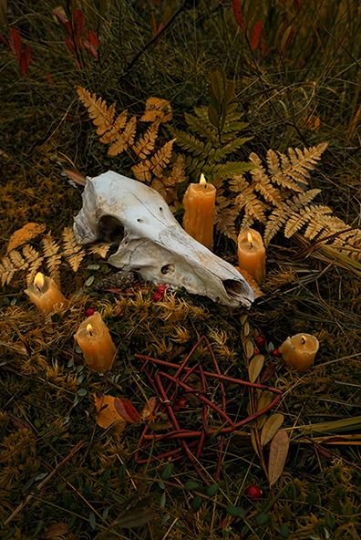 Samhain Ritual, Herbal Witch, Forest Fall, Witchcraft Altar, Autumn Witch, Forest Drawing, Pagan Spirituality, Samhain Halloween, Animal Skull