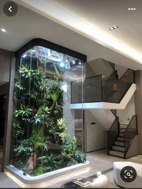 Home Backyard, Home Decor Cozy, Reptile Room, Beautiful Terrariums, Aquarium Landscape, Aquarium Ideas, Home Aquarium, Minimalist Apartment, Cozy Home Decor