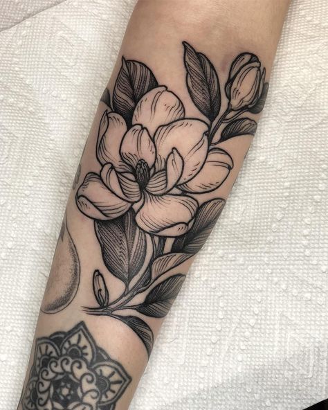 shannon elliot magnolia tattoo Magnolia Tattoo, Floral Tattoo Sleeve, Plant Tattoo, Gorgeous Tattoos, Tattoo Bracelet, Leg Tattoo, Blackwork Tattoo, Couple Tattoos, Piercing Tattoo