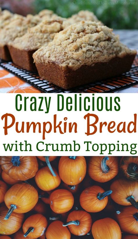 Mini Breads, Mini Bread Loaves, Mini Loaf Cakes, Mini Loaves, Hoop House, Moist Pumpkin Bread, Pumpkin Loaf, Pampered Chef Recipes, Mini Treats