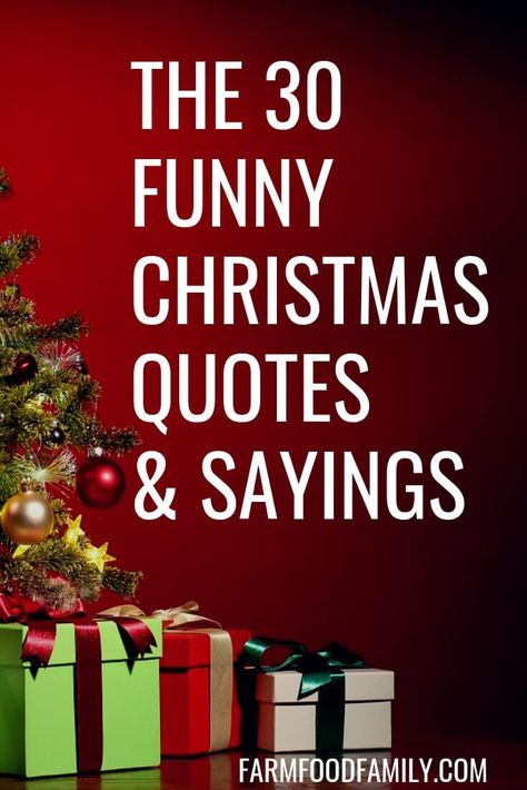 30+ Funny Christmas Quotes & Sayings That Make You Laugh Holiday Work Quotes Funny, Smells Like Christmas Quotes, Silly Christmas Quotes, Snarky Christmas Quotes, Merry Christmas Funny Hilarious, Sassy Christmas Quotes, Christmas Sayings Funny, Xmas Quotes Funny, Cute Holiday Sayings