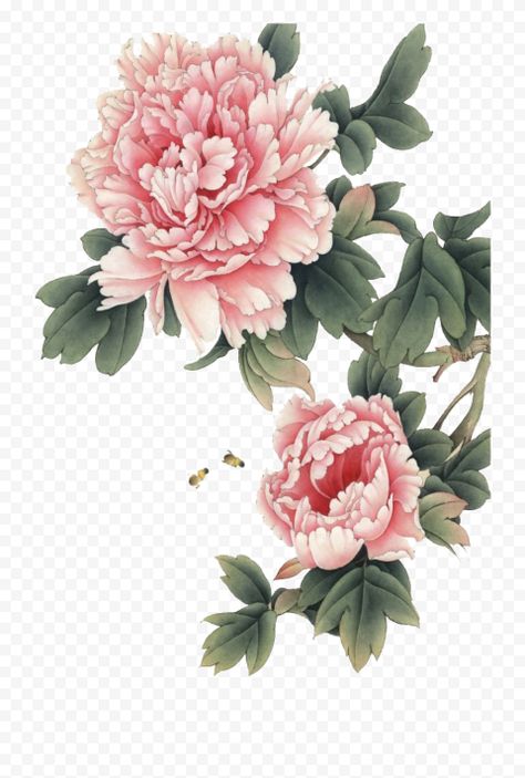 Pink Flower Illustration, Peony Illustration, Wall Relief, Chinese Flowers, Planting Peonies, Chinese Flower, Flower Line Drawings, Ink Wash Painting, Flower Outline