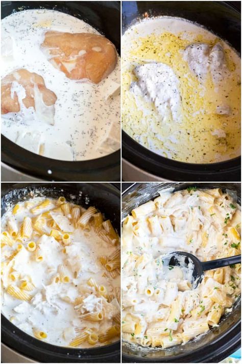 Alfredo Crockpot, Crockpot Alfredo, Chicken Alfredo Chicken, Crock Pot Chicken Alfredo, Crockpot Chicken Alfredo, Easy Crockpot Recipes Healthy, Alfredo Chicken, Bread Booze Bacon, Chicken Crockpot Recipes Healthy