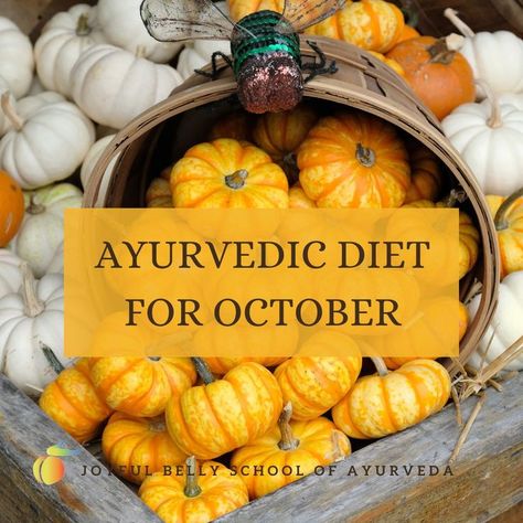 Ayurveda Recipes, Ayurvedic Diet, Ayurveda Life, Vata Dosha, Ayurvedic Recipes, Ayurveda Yoga, Ayurvedic Healing, Healthy Foodie, Spiritual Health