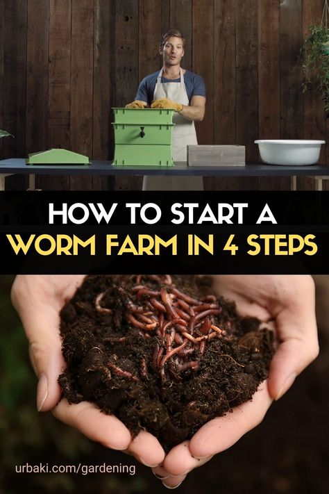 Flow Through Worm Bin, Worm Farm Diy How To Make A, How To Make A Worm Compost Bin, Diy Meal Worm Farm, Worm Farm Diy, How To Start A Worm Farm Composting Bins, Worm Beds, Fishing Worms, Worm Castings