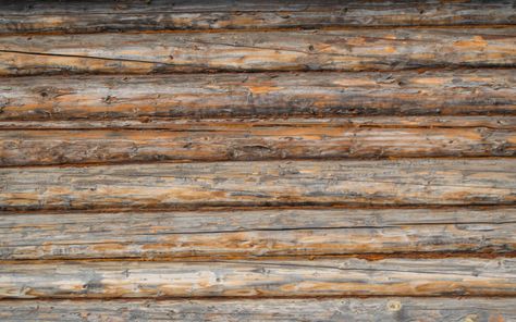 Log Texture, Texture Download, Background Texture, Photo Editing Software, Premium Photo, Textured Background, Free Photos, Graphic Resources, Photo Editing