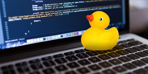 The Weirdest Programming Principles Youve Never Heard Of Rubber Duck Debugging, How To Be Smart, Writing Code, Be Wise, Music Headphones, Little Duck, Don't Trust, Wednesday Morning, Do What You Want