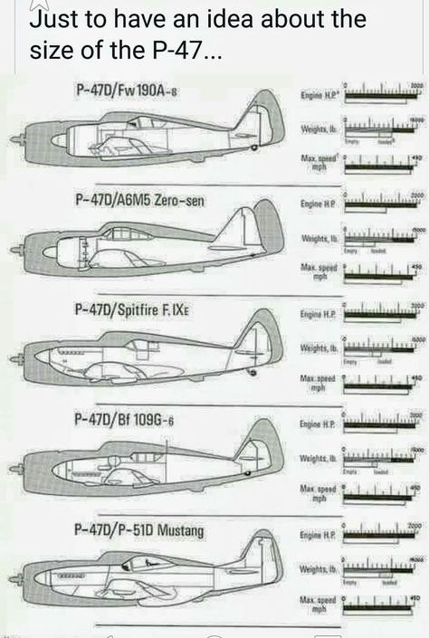 Thunderbolt P-47 size comparison Types Of Aircraft, P 47 Thunderbolt, Wwii Fighter Planes, Wwii Airplane, Wwii Fighters, Wwii Plane, Military Airplane, Ww2 Planes, Aircraft Art