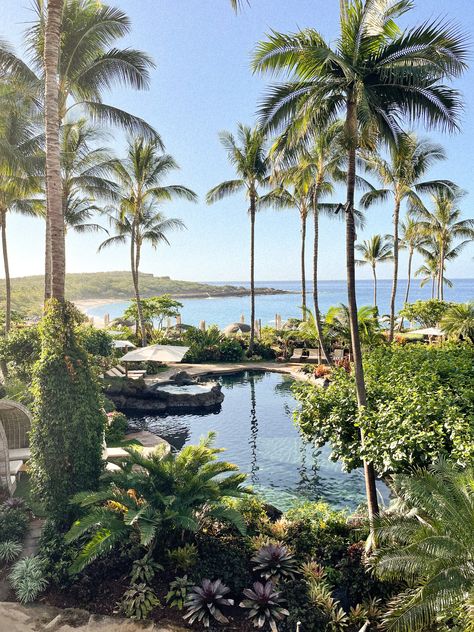 Four Seasons Lanai, Lanai Hawaii, Prettiest Beach, Action Board, Happy Hour Specials, Overwater Bungalows, Answer The Question, Deep Sea Fishing, Animal Coloring