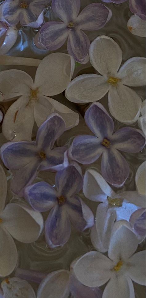 lilac in the water flowers purple aestetic Kintsugi Aesthetic, Fashion Analysis, I Still Miss You, Ethereal Aesthetic, Flowers Purple, Brown Wallpaper, Japanese Aesthetic, Water Design, Water Flowers