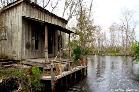 TV and Movie Set at Jean Lafitte Swamp Tour! #NOLA New Orleans Swamp, New Orleans Swamp Tour, Swamp Shack, Swamp House, Bayou House, Alligator Hunting, Jean Lafitte, Swamp Water, Louisiana Swamp