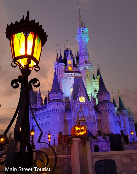 Disney World Haunted Mansion, Castle Halloween, Disney Castles, Disney World Halloween, Castle Party, Foolish Mortals, Cinderella Castle, Disney Castle, Happiest Place On Earth