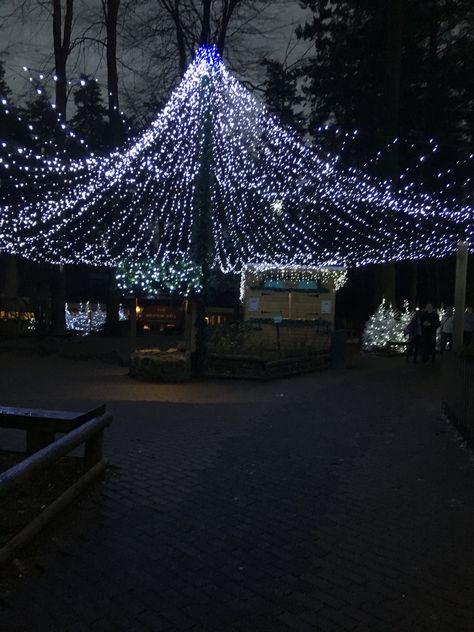 Center Parcs Winter Wonderland, Longleat Centre Parcs Christmas, Center Parcs Longleat, Centre Parcs, Centre Parks, Center Parcs, Winter Onederland, Winter Vibes, Idea Board, Bay Bridge