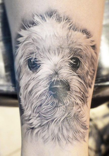 ive always wondered how possible it would be for me to get a tattoo of my dog, Barney, and have it actually look like him rather than every other Bedlington terrier. Scruffy Dog Tattoo, White Dog Tattoo, Dog Memorial Tattoos, Pawprint Tattoo, Animals Tattoo, Memorial Ideas, Sick Tattoo, Tattoo Skin, Yorkie Lovers