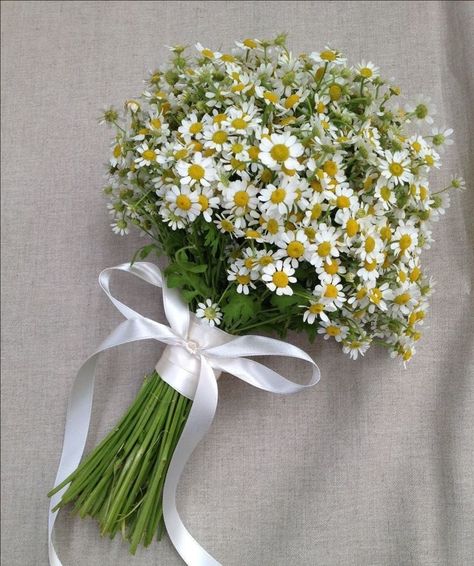 Small Daisy Bouquet, Jasmine Bouquet, Daisy Bridal Bouquet, Vintage Lace Weddings, Tiffany Wedding, Daisy Bouquet, Winter Flowers, Love Flowers, Small Flowers