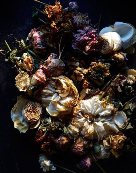 Decay Art, Growth And Decay, Dark Flowers, A Level Art, Dark Floral, Bunch Of Flowers, Arte Floral, Natural Forms, Flower Beauty