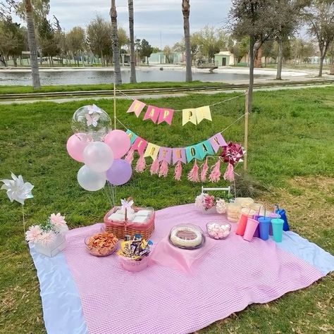 Birthday Decorations Picnic, Picnics Birthday Ideas, Picnic Birthday Decorations, 18th Birthday Party Ideas Picnic, Picnic Bday Party Ideas Simple, Birthday Picnic Decor, Picnic Theme Party Decorations, Cute Picnic Birthday Ideas, Picnic Party Ideas Decorations