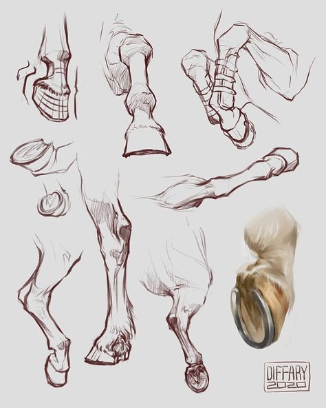 Horse Legs Reference, Horse Hooves Drawing, Horse Concept Art, Horse Reference Photos, Horse Drawing Tutorial, Horse Art Ideas, Jesus Art Drawing, Horse Reference, Horse Art Drawing