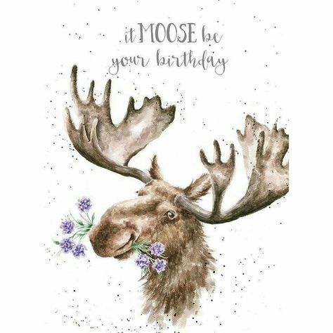 Moose Birthday, 21st Birthday Wishes, Funny Happy Birthday Wishes, Wrendale Designs, Happy 21st Birthday, Vintage Deer, Happy Birthday Messages, Nature Art Painting, Happy Birthday Images