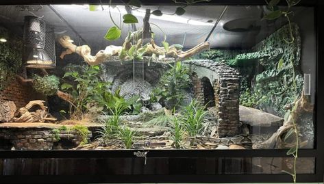 Goth Snake Enclosure, Cornsnakes Enclosure, Kingsnake Enclosure, Snake Tank Setup Ball Python, Snake Tank Setup, Snake Terrarium Ideas, Snake Habitat Ideas, Python Enclosure, Terrarium Setup