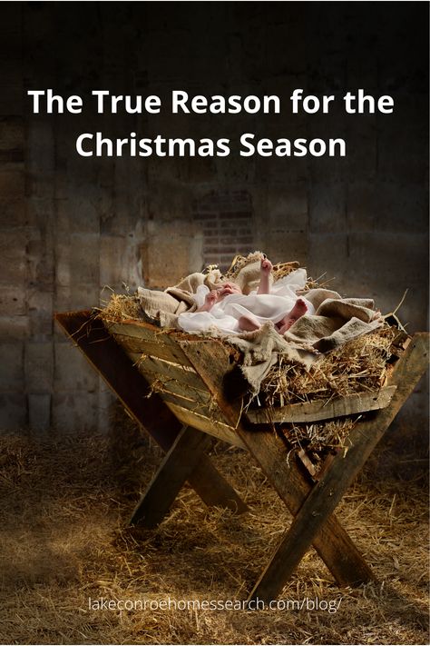 The Reason For The Season, True Meaning Of Christmas Quotes Jesus, Jesus Is The Reason For The Season, Merry Christmas Jesus Christ, Christmas Prayers, Christmas Quotes Jesus, The Meaning Of Christmas, Christmas Profile Pictures, Reason For The Season Christmas