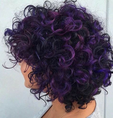 Short Curly Hair With Purple Highlights, Natural Curly Purple Hair, Short Curly Hair Purple Highlights, Purple Hair Curly Short, Purple Balayage Curly Hair, Curly Violet Hair, Curly Purple Highlights, Short Purple Curly Hair, Curly Hair With Purple Highlights