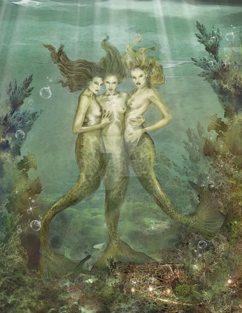 Rhiengeld by Tiger-tyger David Delamare, Art Vampire, Dengeki Daisy, Mermaid Artwork, Mermaid Fairy, Real Mermaids, Mermaid Pictures, Samurai Tattoo, Mermaids And Mermen