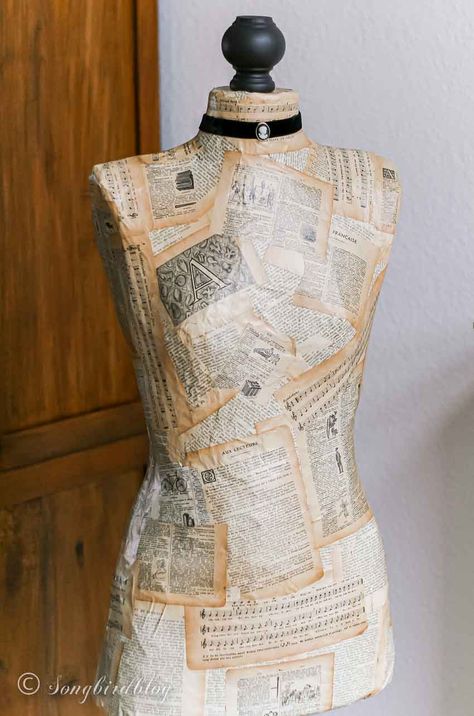 Book Area, Vintage Dress Form, Handcrafted Journals, Books Decor, Mannequin Art, Mannequin Dress, Dress Form Mannequin, Modge Podge, Make Your Own Dress