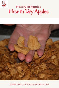 Dry Apples In Oven, Dried Apples Recipes, How To Dry Apples In The Oven, Dried Apples In The Oven, Dried Apple Pie, How To Dry Apples, Drying Apples, Garden Preserving, Dry Apples