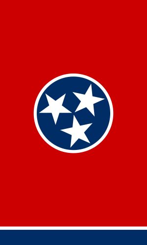 Tennessee flag template for use to make sheet cake Tennessee Wallpaper, Tennessee Tattoo, Tennessee Tristar, Rocky Top Tennessee, Tennessee Flag, Flag Template, Us Flags, Hawaii Pictures, Flag Tattoo