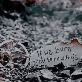 Katniss Aesthetic, Mockingjay Quotes, Divergent Tris, Mockingjay Pin, Hunger Games Wallpaper, Dystopian Aesthetic, Maxon Schreave, Hunger Games Books, Hunger Games Quotes