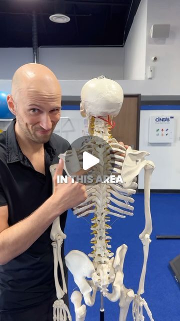 Zac Cupples on Instagram: "Ever wonder why that knot by your shoulder blade is more dependable than your day one? 

The hidden cause is the shape of your ribcage.

When muscles on the back and front of the ribcage get tight they make the ribcage smaller front to back.

Opening of the ribcage front to back will get these tight muscles to relax.
 Using gravity to change ribcage shape, therefore loosening muscles front to back, is a great way to get rid of tight spots.  The easiest way change ribcage shape with gravity is by laying on a yoga block like the exercise from this video. 

#physicaltherapist #physicaltherapists #strengthcoach" How To Make Your Ribcage Smaller, Yoga Block, Shape Of You, Rib Cage, The Shape, Gravity, Muscles, Knot, Yoga