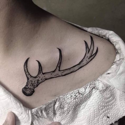 Doe antler tattoo Tattoo Ideas Female Outdoors, Antler Chest Tattoo Female, Antler Shoulder Tattoo, Antlers Collarbone Tattoo, Antler Tattoo Collar Bone, Collarbone Antler Tattoo, Antler Tattoo Chest, Traditional Antler Tattoo, Deer Tattoo Designs Sketches