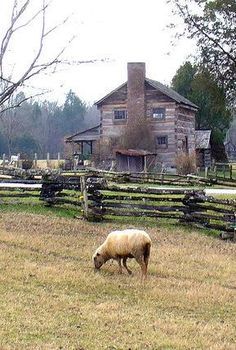 Appalachian Cabin Appalachian Town Aesthetic, Old Appalachia, Appalachian Architecture, Appalachian House, Appalachia Core, Appalachian Cabin, Appalachian Home, Appalachian Farm, Appalachian Folklore