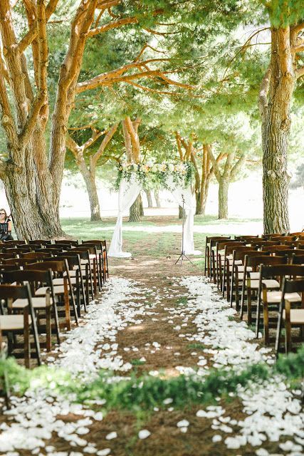 Garden ceremony arches and backdrops; wedding ceremony ideas; outdoor weddings; wedding decorations. #weddings #weddingideas Outdoor Wedding Ceremony Aisle, Courtyard Wedding, Wedding Isles, Rose Petals Wedding, Aisle Runner Wedding, Wedding Ceremony Ideas, Utah Wedding Photography, Aisle Flowers, Wedding Aisle Decorations