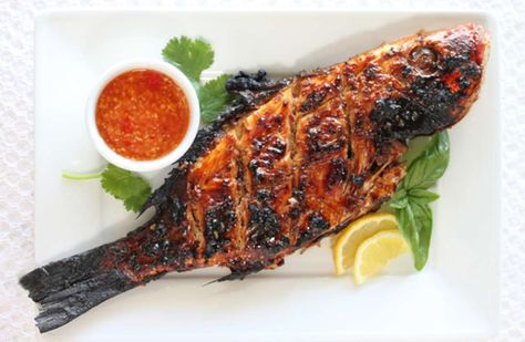 Large asian jerk red snapper Baked Snapper, Grilled Red Snapper, Red Snapper Recipes, Whole Fish Recipes, Snapper Recipes, Chili Sauce Recipe, Red Snapper, Steamed Vegetables, Jamaican Recipes