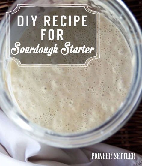 How To Start Your Very Own Sourdough Starter! Make A Sourdough Starter, Sourdough Bread Starter, Dough Starter, Bread Starter, Sourdough Starter Recipe, Bread Machine Recipes, Starters Recipes, Artisan Bread, Fermented Foods