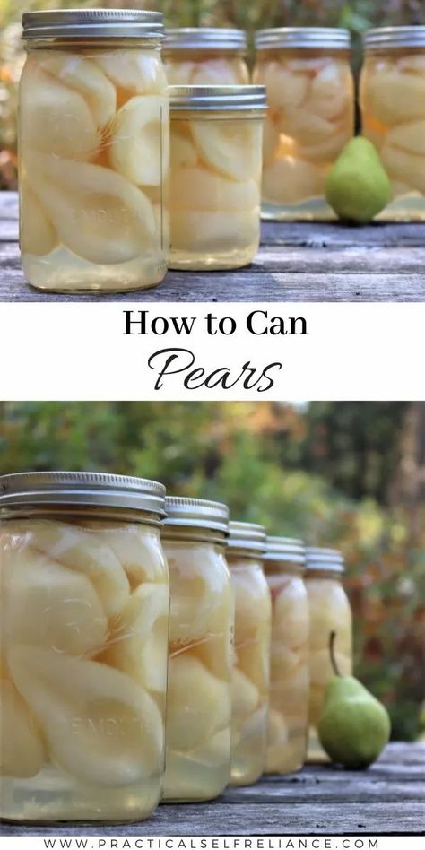 How To Can Pears In Light Syrup, Light Syrup For Canning Pears, Canning Pears In Honey Syrup, Canned Pears In Light Syrup, Water Bath Canning Pears, Canning Pears Raw Pack, What To Do With Pear Peels, Light Syrup For Canning Fruit, What To Do With Extra Pears